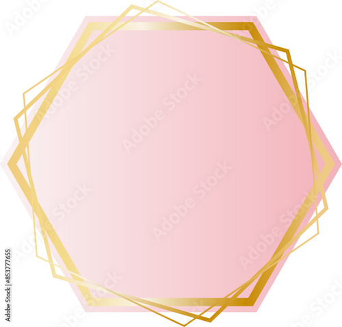Golden hexagon pink background border
