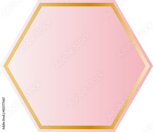 Golden hexagon pink background border