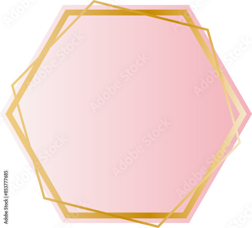 Golden hexagon pink background border