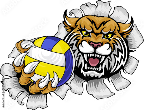 A wildcat cougar lynx lion volleyball animal sports mascot holding a volley ball in his claw