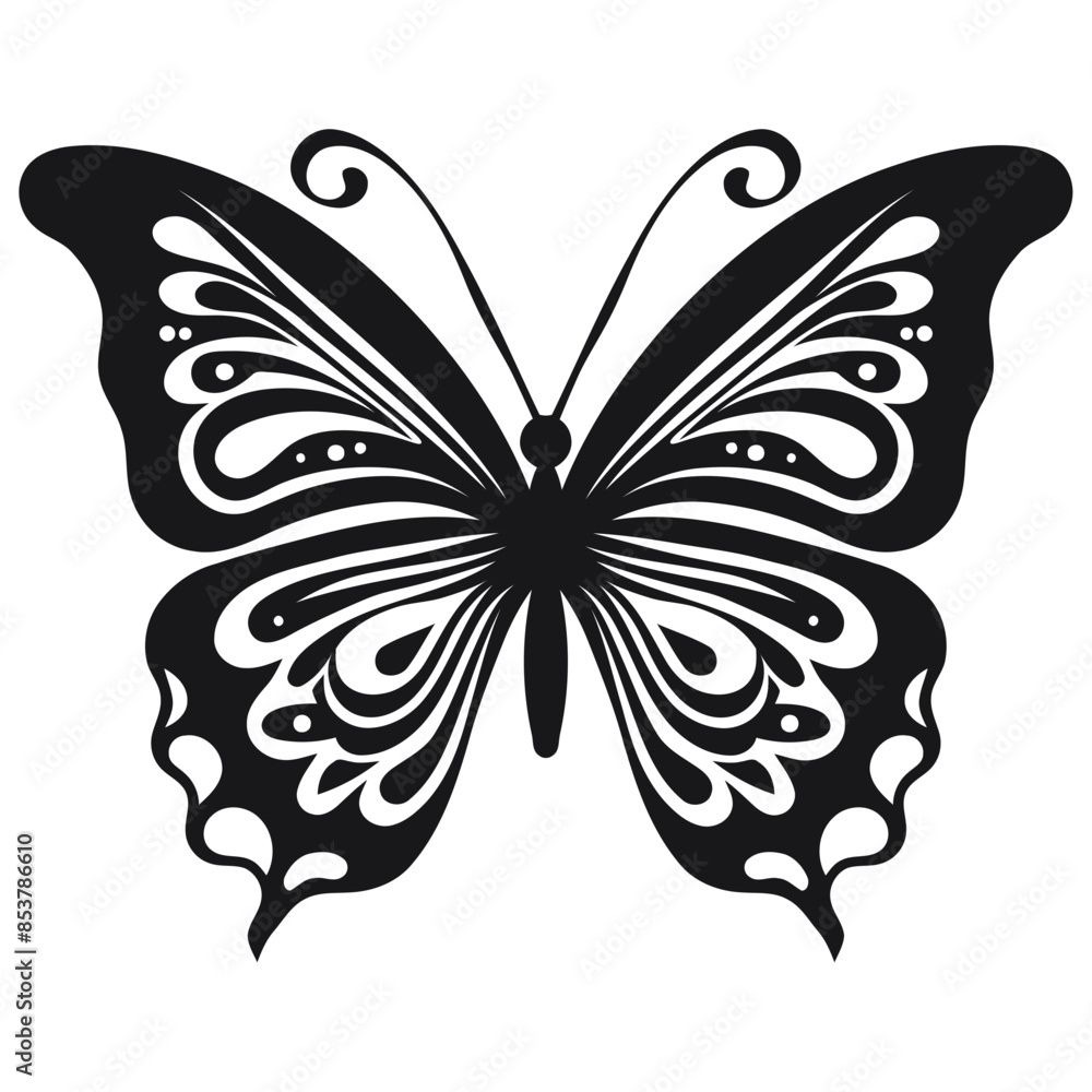 black and white butterfly, black and white butterfly,