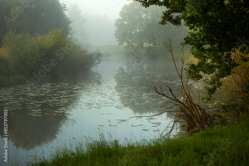 Mglisty poranek, starorzecze rzeki Wisły.  photo
