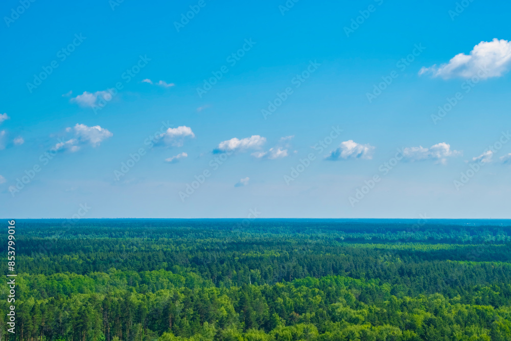 Panorama with coniferous forest and clouds. Top view of open spaces with treetops. Endless natural landscape. Panorama with coniferous forest and clouds. Top view of open spaces with treetops. Endless natural landscape.