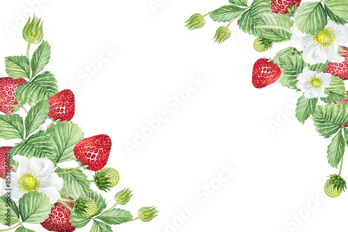 Watercolor frame of white flowers and strawberries. Beautiful frame with strawberry flowers, strawberries, leaves, hand drawn.