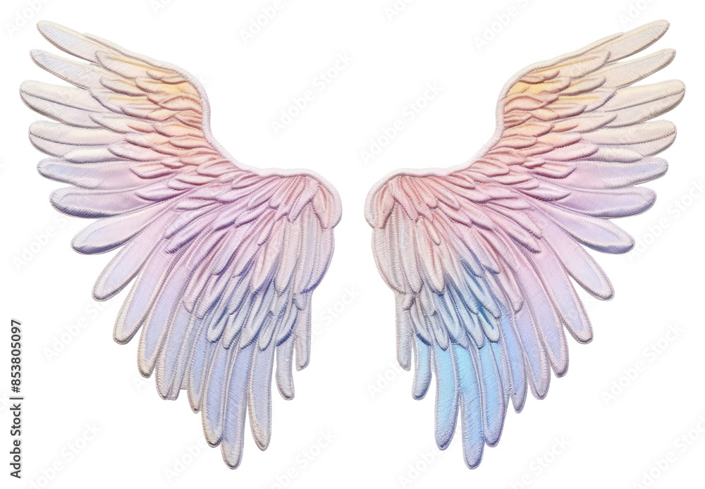 Fototapeta premium PNG Wings bird white background lightweight.