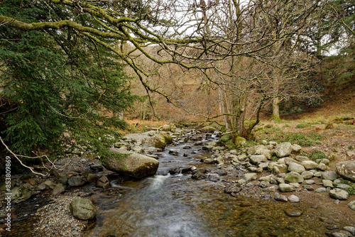 Aira Force