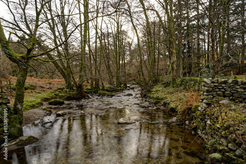 Aira Force