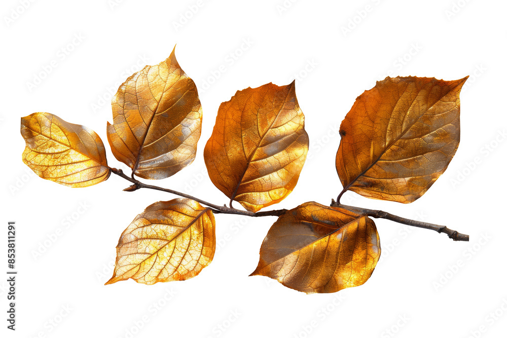 Fototapeta premium Abstract golden leaves isolated on transparent background.