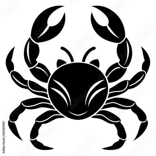 crab vector illustration photo