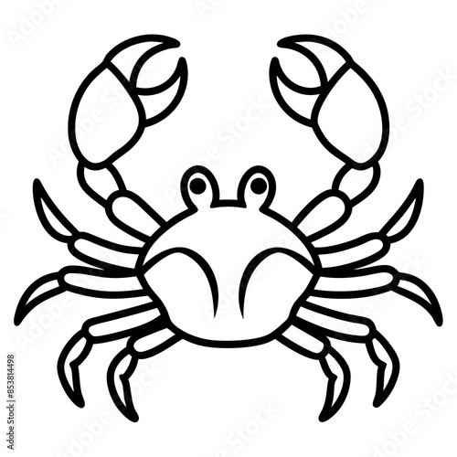 crab vector illustration