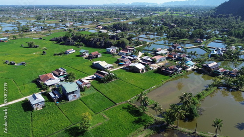 Rural atmosphere with vast rice fields and karst mountains in the tourist village of Rammang-rammang photo