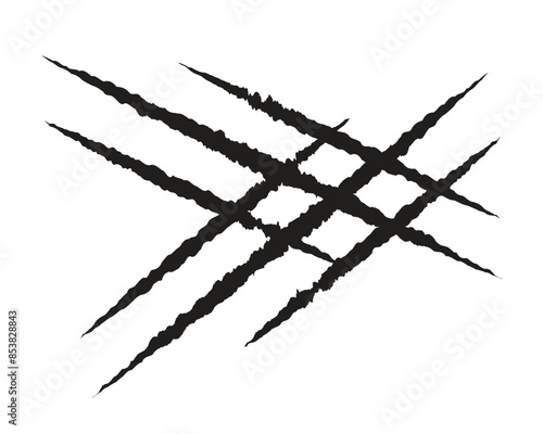 Scratches from animal claws, black claw marks. isolated on a white background.