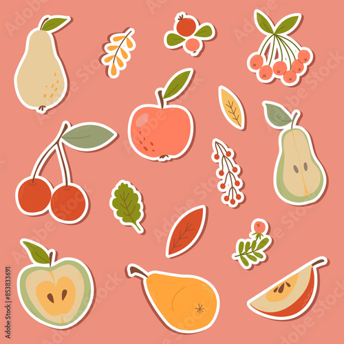 Cute stickers of vegetables, fruits and berries. Autumn harvest. Vector icons on autumn theme and vegetarianism for scrapbooking, social networks, magnets
