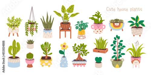 Potted plants set. House plants in various pots. Home jungle. Minimalistic doodle style