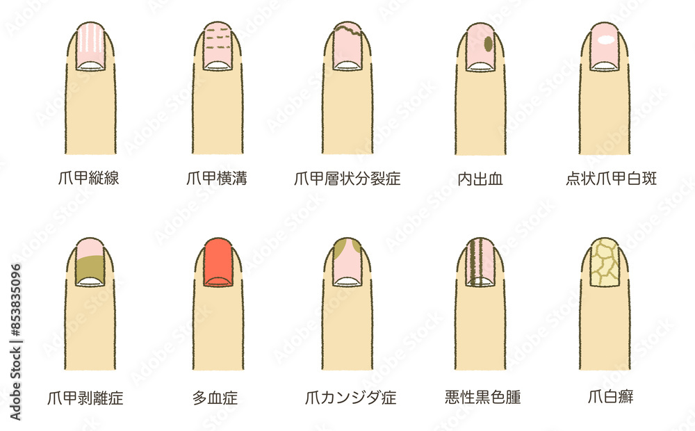 活動歴および当時の関連ビジュアル記録
