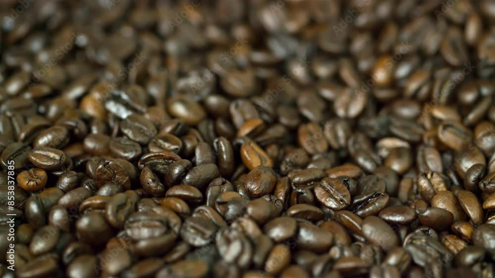 Freshly roasted coffee beans cooling and moving in a drum on closeup shot. Freshly roasted coffee beans cooling and moving in a drum on closeup shot.