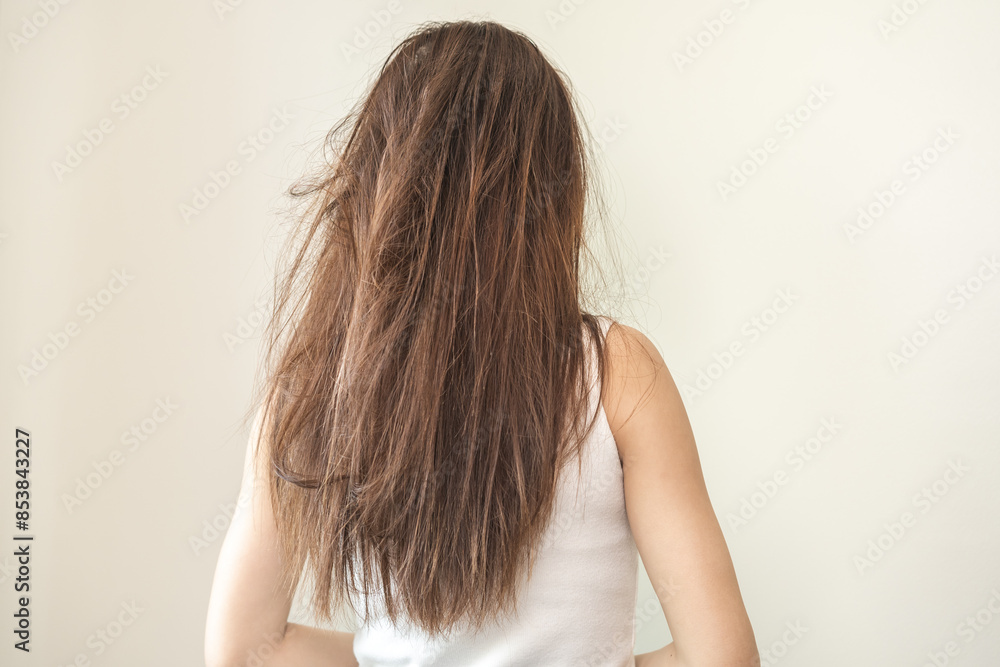 Damaged hair, frustrated asian young woman, girl in splitting ends, messy unbrushed dry hair and frizzy with long disheveled hair, health care of beauty. Portrait isolated on background, Back view. Damaged hair, frustrated asian young woman, girl in splitting ends, messy unbrushed dry hair and frizzy with long disheveled hair, health care of beauty. Portrait isolated on background, Back view.