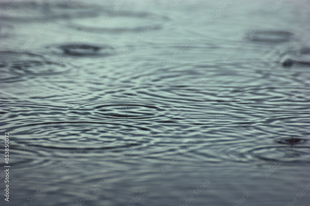 Rraindrop hits the surface of the water, creating concentric ripples that spread outwards. The delicate splash and the expanding ripples reflect. Atmosphere of a rainy summer day. Rraindrop hits the surface of the water, creating concentric ripples that spread outwards. The delicate splash and the expanding ripples reflect. Atmosphere of a rainy summer day.
