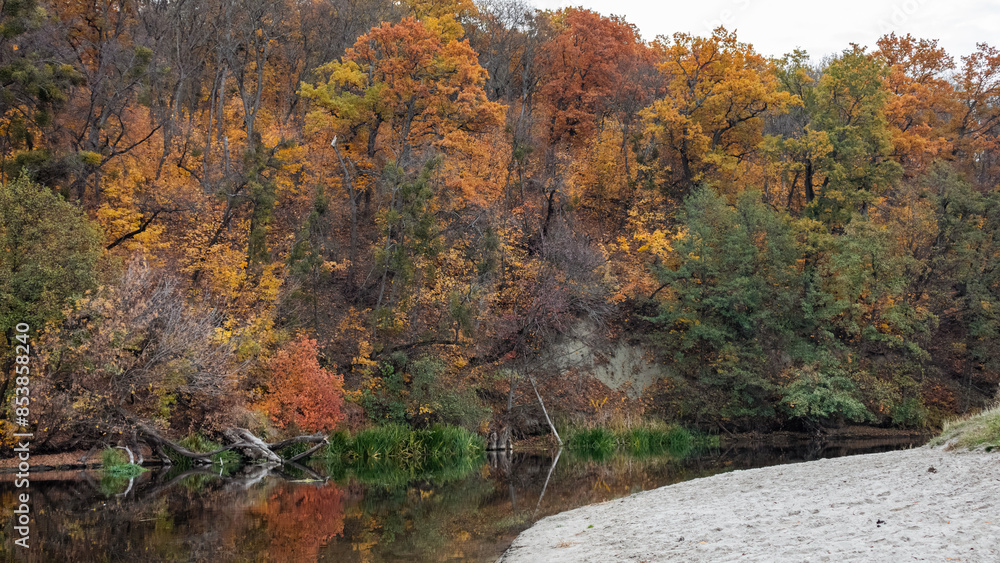 Autumnal vibrant trees on sandy river shore with calm water Autumnal vibrant trees on sandy river shore with calm water