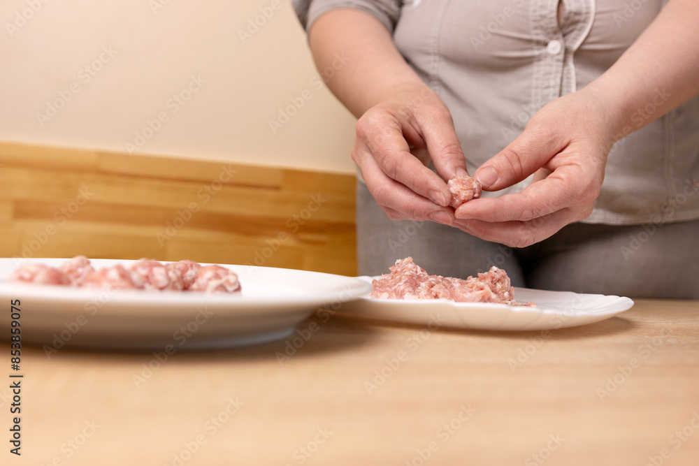 Meatballs are prepared from minced meat. Preparation of dishes from minced meat. Meatballs are prepared from minced meat. Preparation of dishes from minced meat.