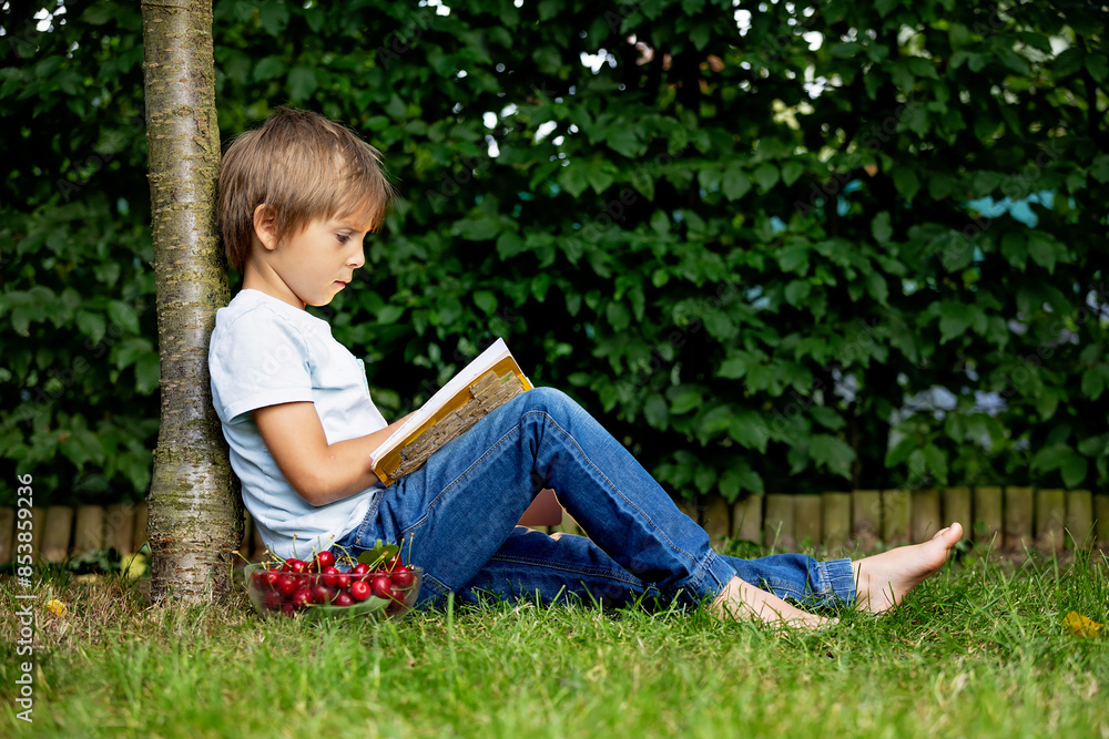 Cute little child, boy with pet dog, maltese breed, reading a book in garden, summertime, eating cherries Cute little child, boy with pet dog, maltese breed, reading a book in garden, summertime, eating cherries