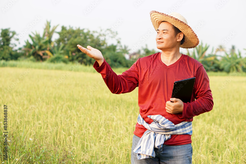 Handsome Asian farmer is at paddy field, holds smart tablet to inspect rice plants ,do research . Pose hand to present something. Concept, agriculture occupation. Smart farmer life style.   