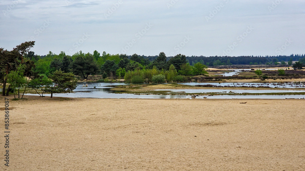 Drifting sand with exceptional pools due to heavy rain, Loonse en Drunense Duinen National Park, North Brabant, Netherlands Drifting sand with exceptional pools due to heavy rain, Loonse en Drunense Duinen National Park, North Brabant, Netherlands