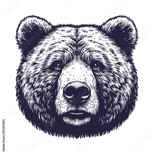 bear vector, bear silhouette