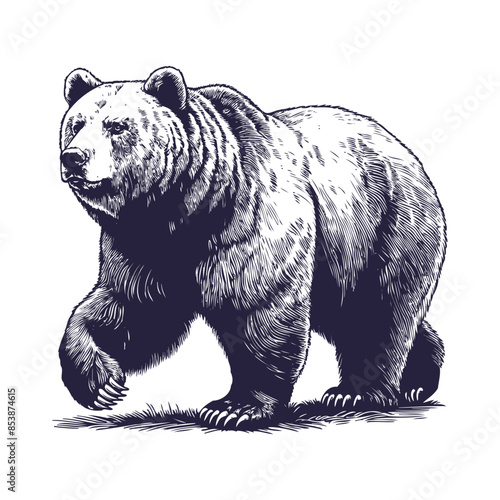 bear vector, bear silhouette