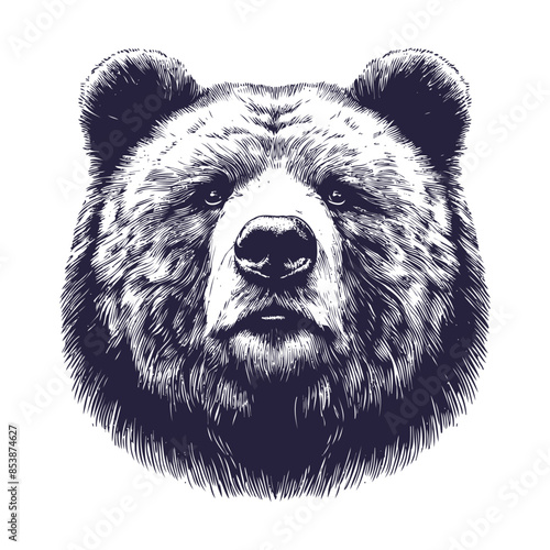 bear vector, bear silhouette