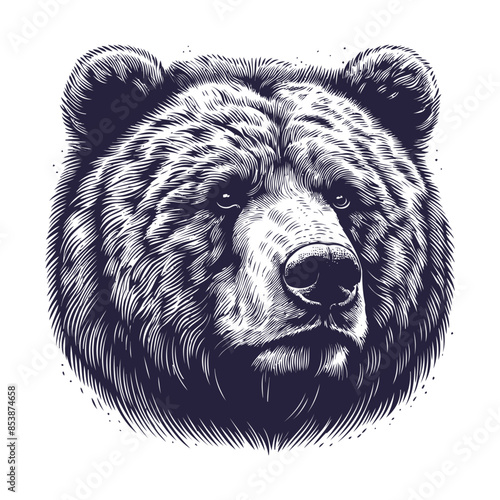 bear vector, bear silhouette