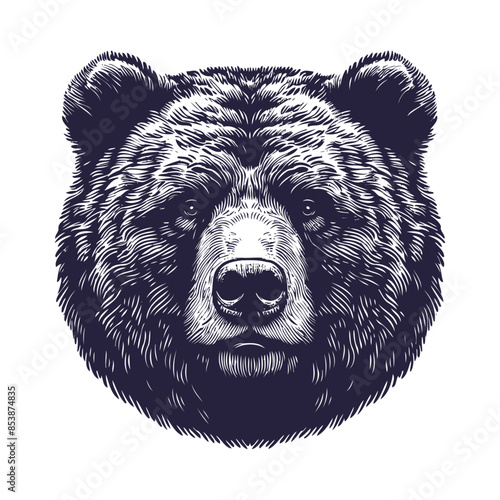 bear vector, bear silhouette