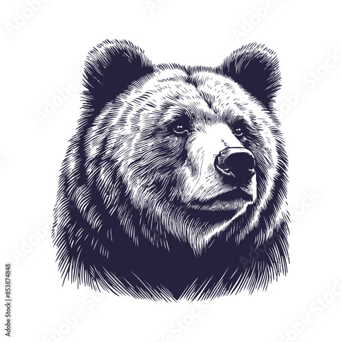 bear vector, bear silhouette