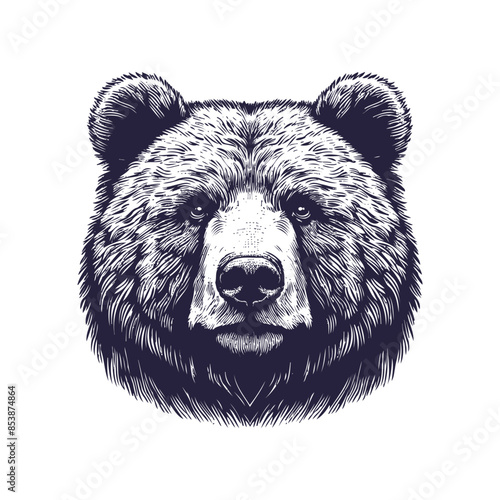bear vector, bear silhouette