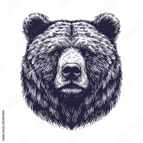 bear vector, bear silhouette