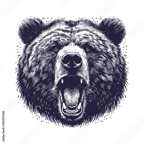 bear vector, bear silhouette