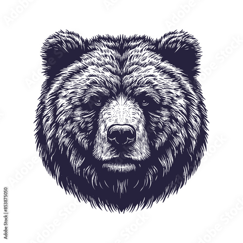 bear vector, bear silhouette