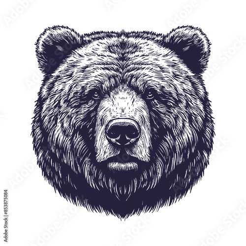 bear vector, bear silhouette