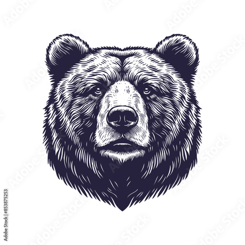 bear vector, bear silhouette
