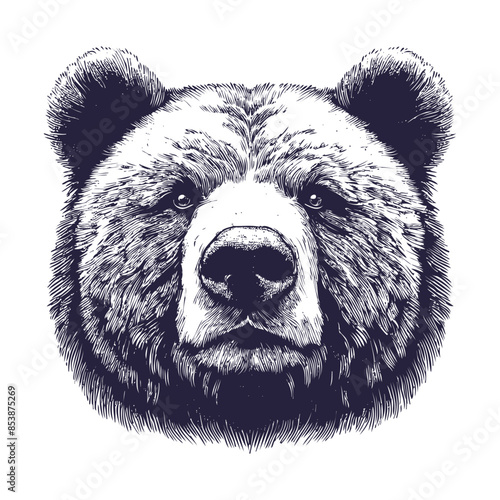 bear vector, bear silhouette