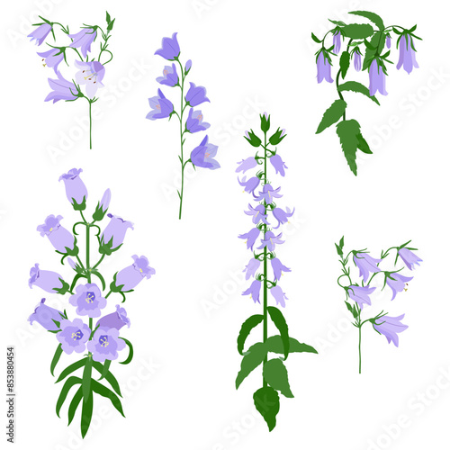 Set of various bells flower on an isolated background.