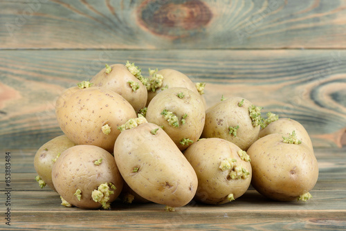 A bunch of potato tubers with new sprouts.
