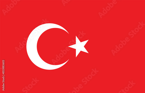 National Flag of Turkey. Turkey Flag. 
