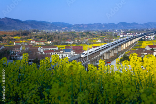 Fotografia A high-speed railway traversing the sea of flowers