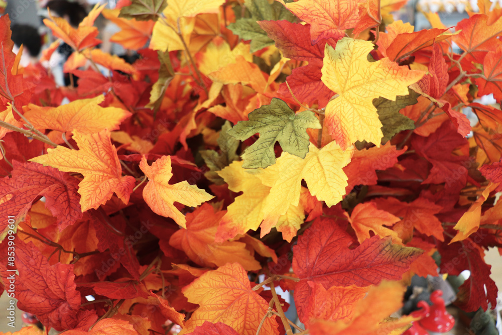 autumn background of colorful leaves autumn background of colorful leaves