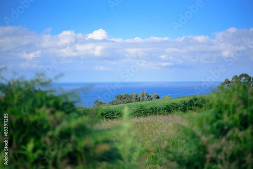 Pradera y bosques frente al mar en Asturias