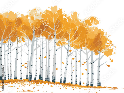 white background, A forest landscape with a grove of aspen trees with golden leaves in autumn., very simple and isolate in the style of animated illustrations, white background