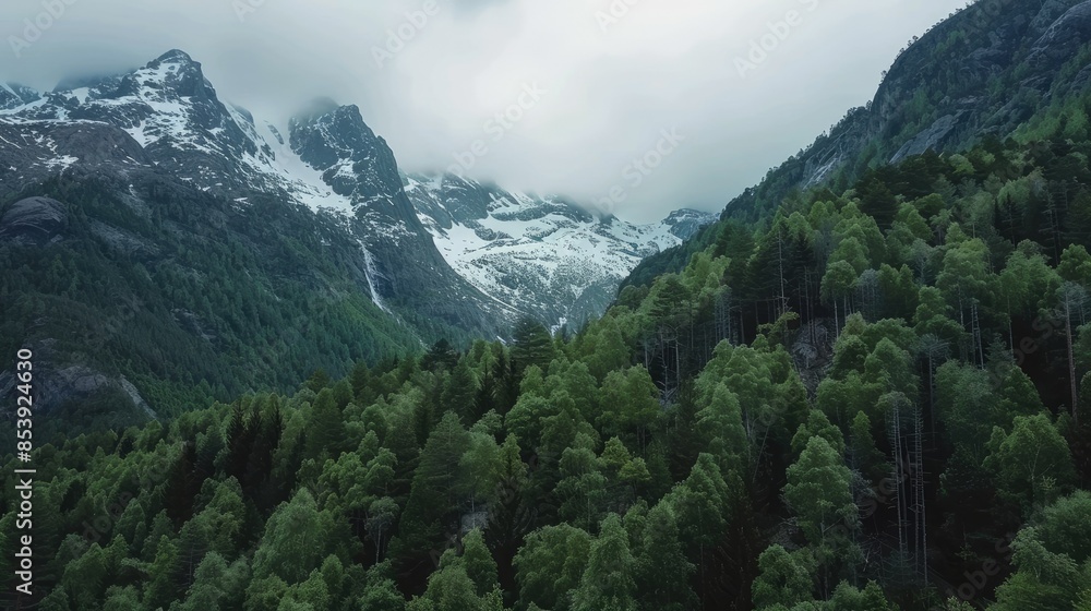 Obraz premium Drone perspective of snow-capped peaks towering over a dense evergreen forest in the mountains