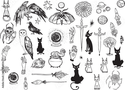 Vector Set line art drawing clipart halloween holiday party invitation. Witch minimalistic items icons bird skull witch magic book sword rose flower Gothic stickers design elements occult scary theme