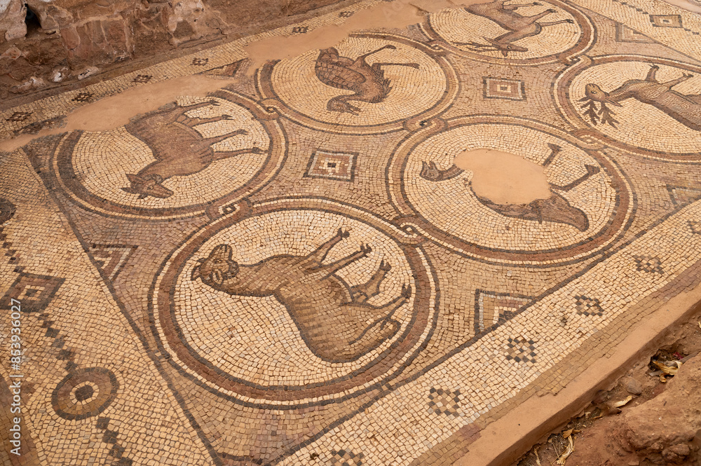 Petra, mosaicos con motivos animales en la iglesia bizantina, Jordania. Petra, mosaicos con motivos animales en la iglesia bizantina, Jordania.
